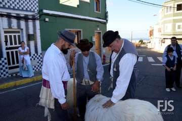 Alegre y participativa romería en El Ejido (Foto FJ Santana y TF)